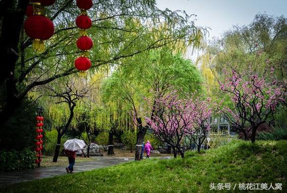 广东省老农在哪里广东省老农的足迹与故事，辛勤耕耘的他们在哪里？