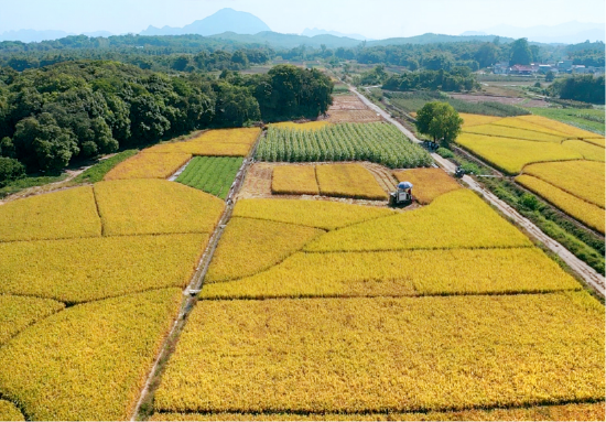 广东省石灰生产基地广东省石灰生产基地，历史、现状和未来展望