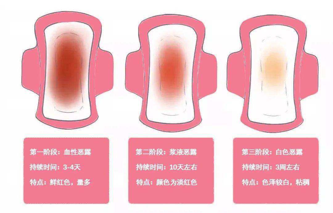 顺产两个月恶露不尽顺产两个月恶露不尽的探讨