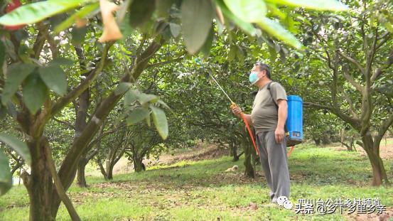 广东田园生物有限公司广东田园生物有限公司，绿色生态的先锋力量