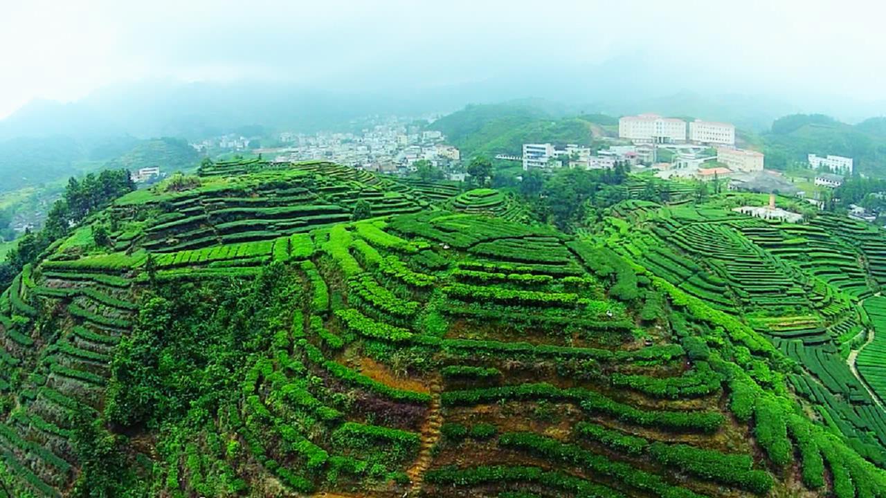 广东省揭阳市广东省揭阳市，历史底蕴与现代魅力的融合