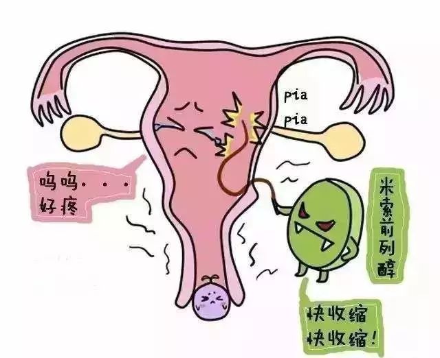 两个月胎停流产两个月胎停流产，经历与反思