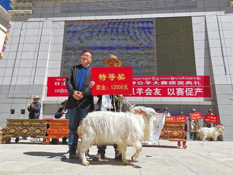 广东牧场科技有限公司广东牧场科技有限公司，引领现代畜牧业，塑造绿色生态未来