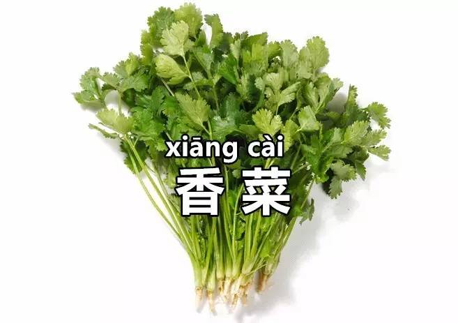 广东省考香菜广东省的香菜情缘