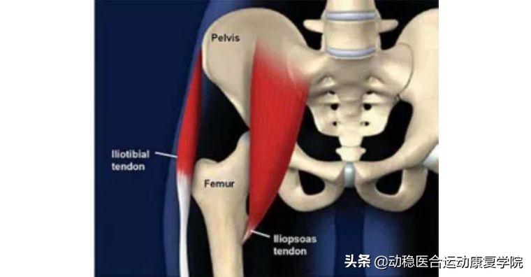 4个月髋关节四个月的髋关节康复之旅，挑战与希望并存