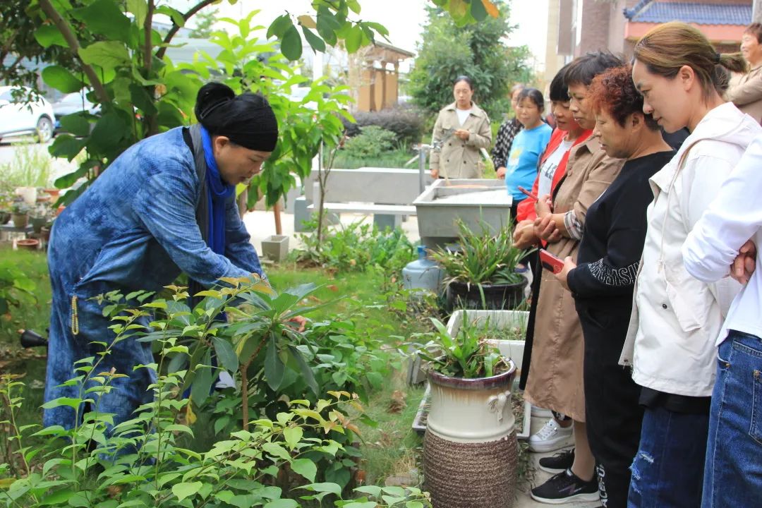 广东省庭院培训广东省庭院培训，打造美丽家园，提升生活品质