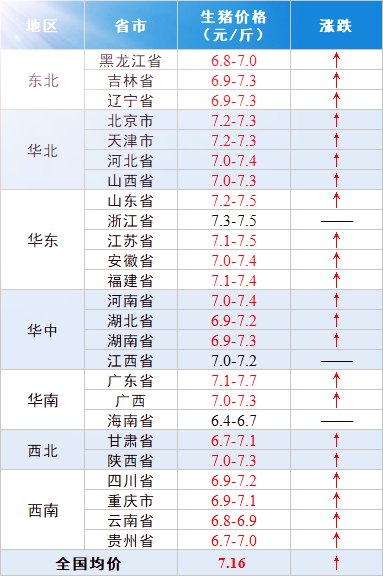 广东省猪价行情广东省猪价行情分析